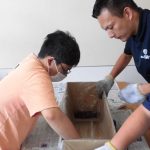 新しい作業「炭の箱詰め作業」の紹介。窯のなまえは・・・『緑 仙 白 炭 窯』